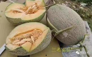 吃葡萄蜜瓜,甜蜜交织的夏日美味之旅