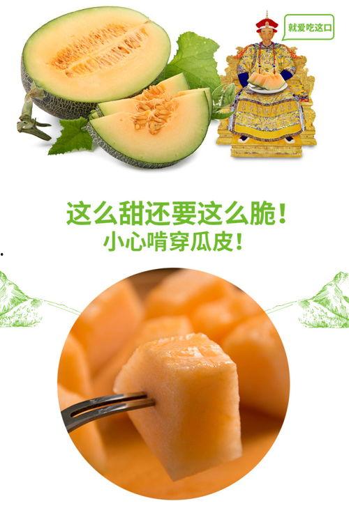 喝醉吃蜜瓜,一场甜蜜的醉酒奇遇