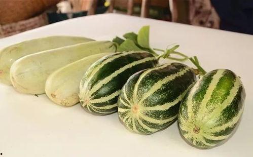 网红笨笨吃瓜,揭秘娱乐圈幕后真相