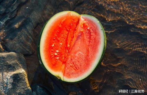 傲寒吃瓜,揭秘娱乐圈背后的那些事儿