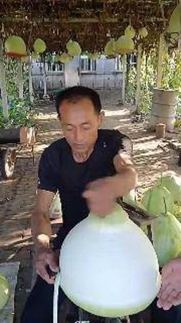 黑哥吃瓜网,揭秘娱乐圈最新热点，带你领略幕后真相