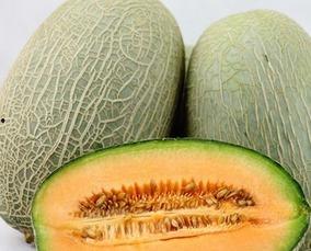 吃哈密瓜大王,探寻瓜界传奇的甜蜜奥秘