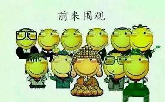 吃瓜群众富顺,吃瓜群众眼中的美食天堂