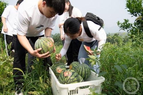 重庆高中吃瓜,吃瓜群众眼中的校园生活剪影