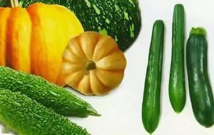 茶室吃瓜,品味茶室里的悠闲时光