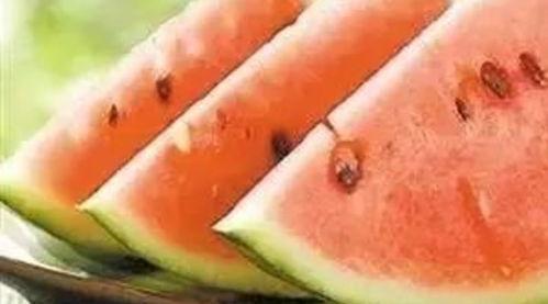 柯东吃瓜体质,瓜界奇才，吃瓜体质成就娱乐传奇