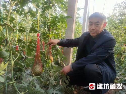 2k圈吃瓜,揭秘娱乐圈那些不为人知的幕后故事