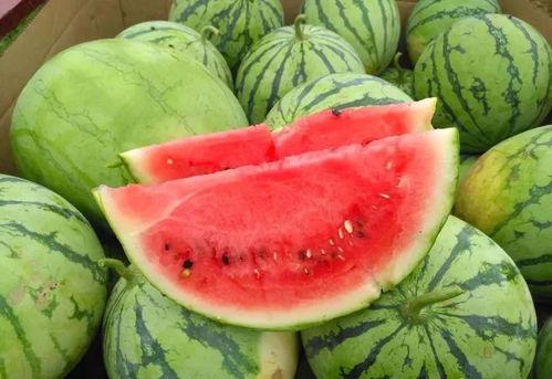 宁芙奖吃瓜,一场吃瓜群众的狂欢盛宴