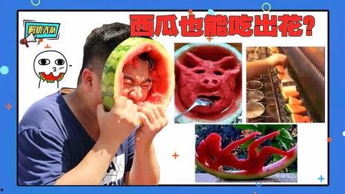 奇葩的吃瓜方式,揭秘那些令人捧腹的另类吃瓜姿势