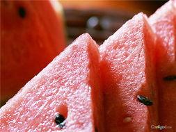 灿烂吃瓜,揭秘娱乐圈的甜蜜与苦涩