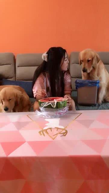 吃瓜女主人,一场关于成长与救赎的奇幻之旅