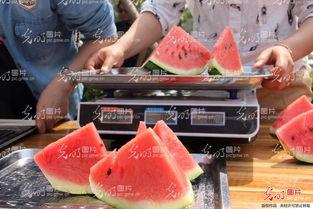 山东吃瓜情报,揭秘当地特色美食与民间趣事