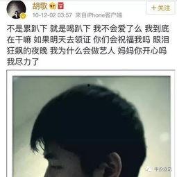 欧美ins吃瓜账号,揭秘网红圈幕后故事