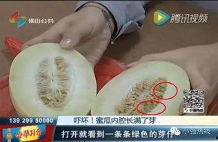 随机吃瓜25,揭秘娱乐圈背后的秘密与真相