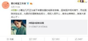 吃瓜解散,揭秘娱乐圈背后的真相与内幕