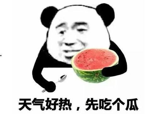 吃瓜异常表情包